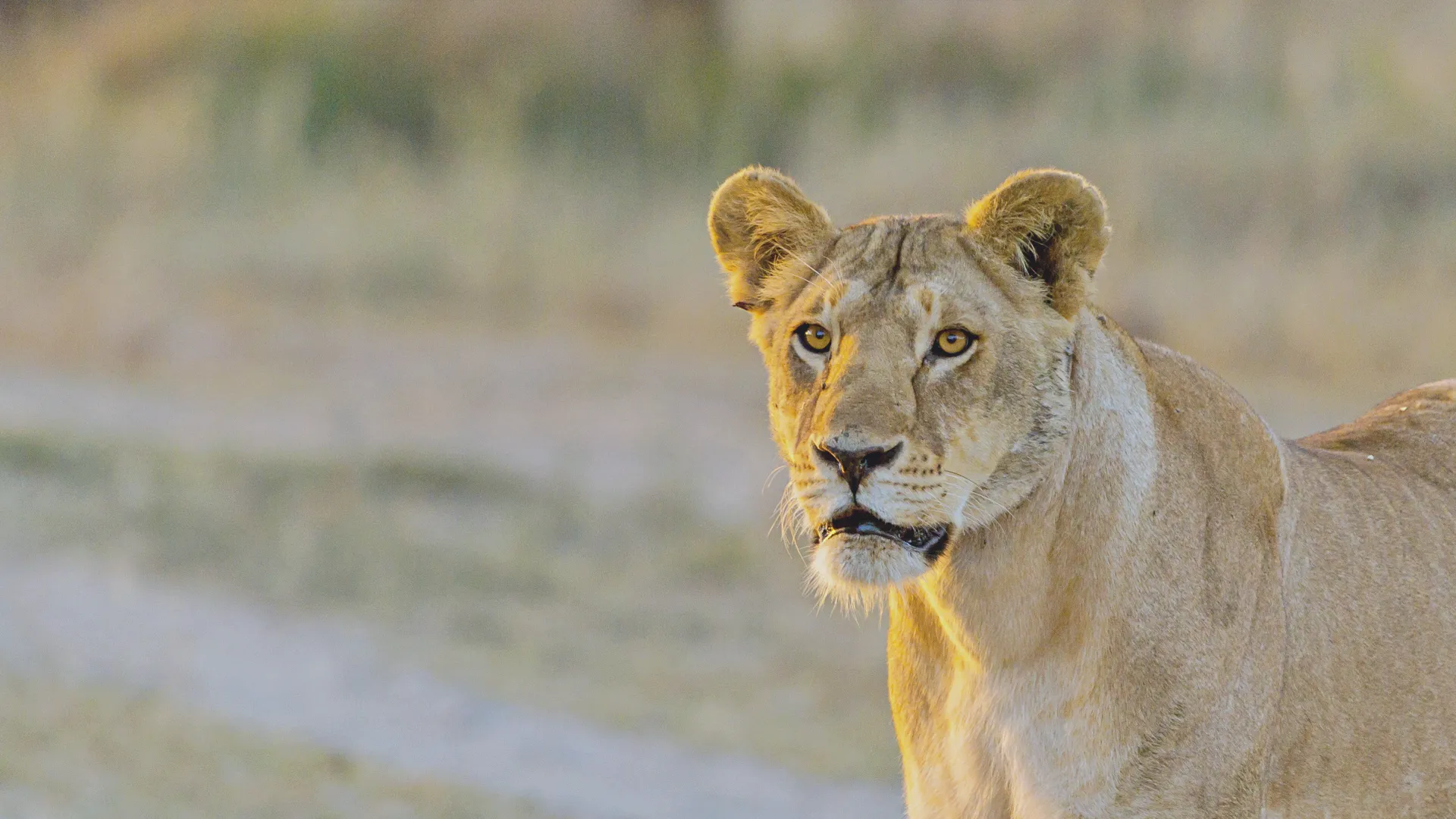 Day 2 — Karatu to Central Serengeti