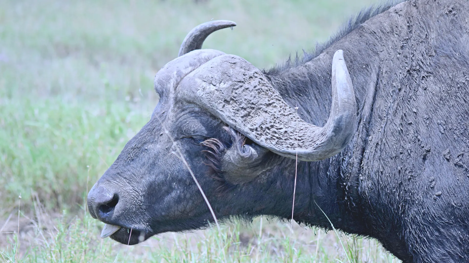 Day 1 — Arusha to Tarangire National Park