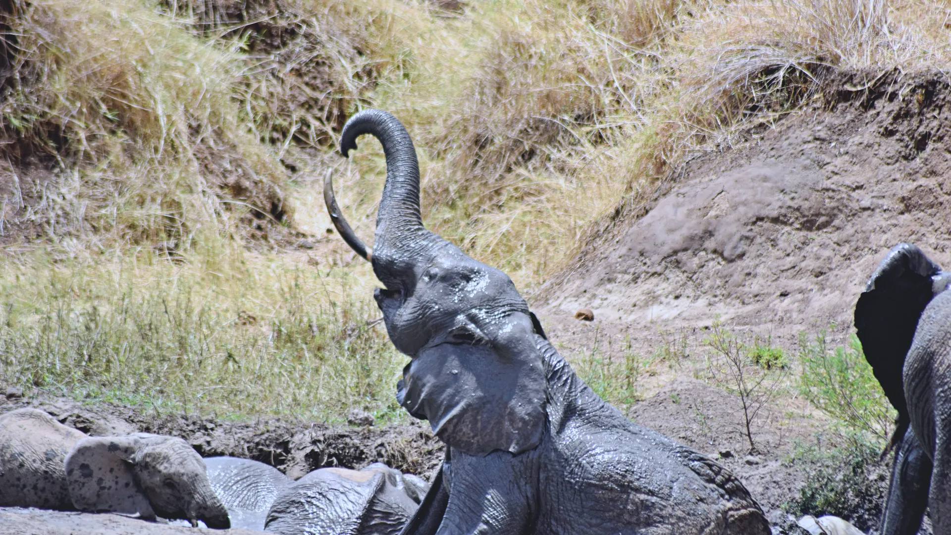 Day 2 — Arusha to Tarangire National Park