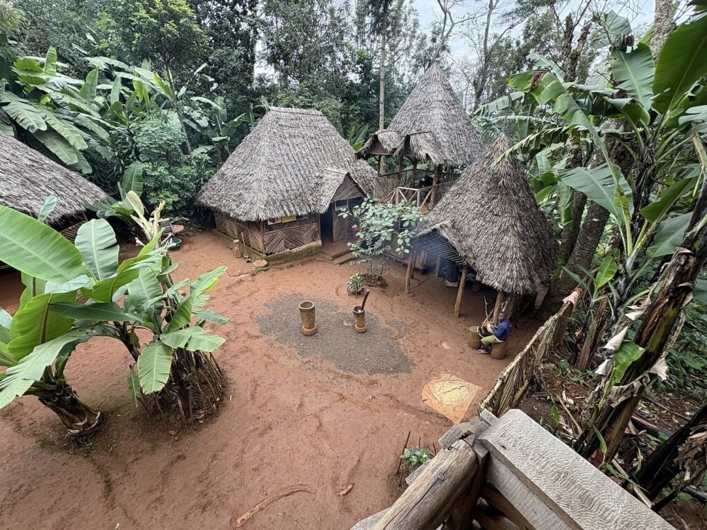 Materuni Local Village