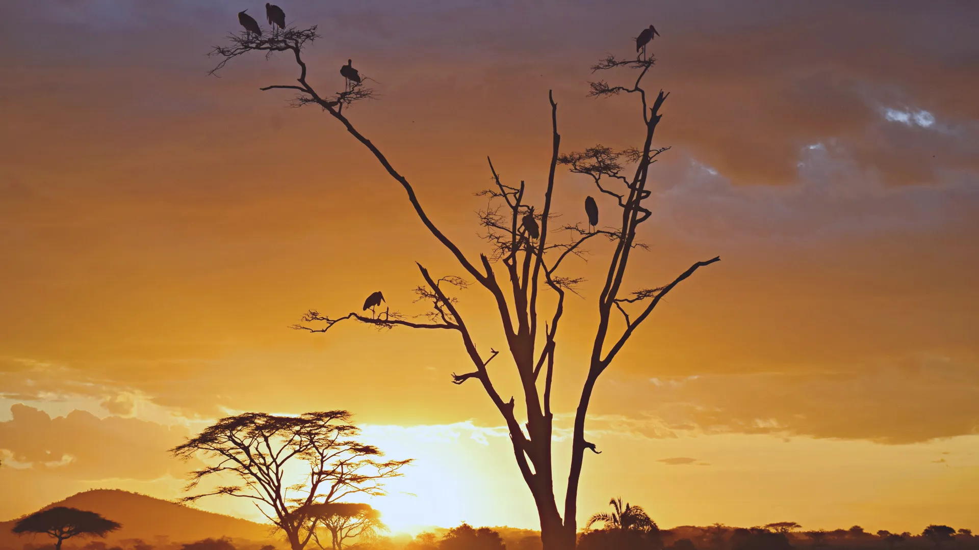 Day 3 — Highlands to Serengeti National Park