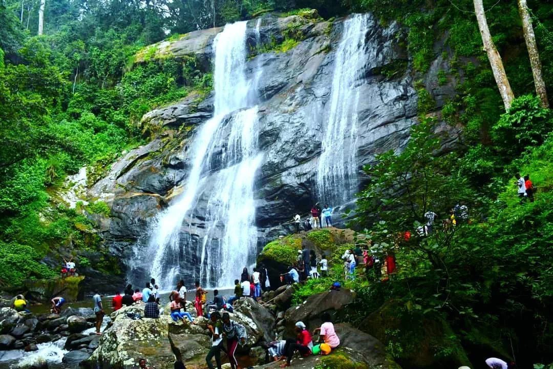 Day 2: Mikumi to Udzungwa Mountain National Park