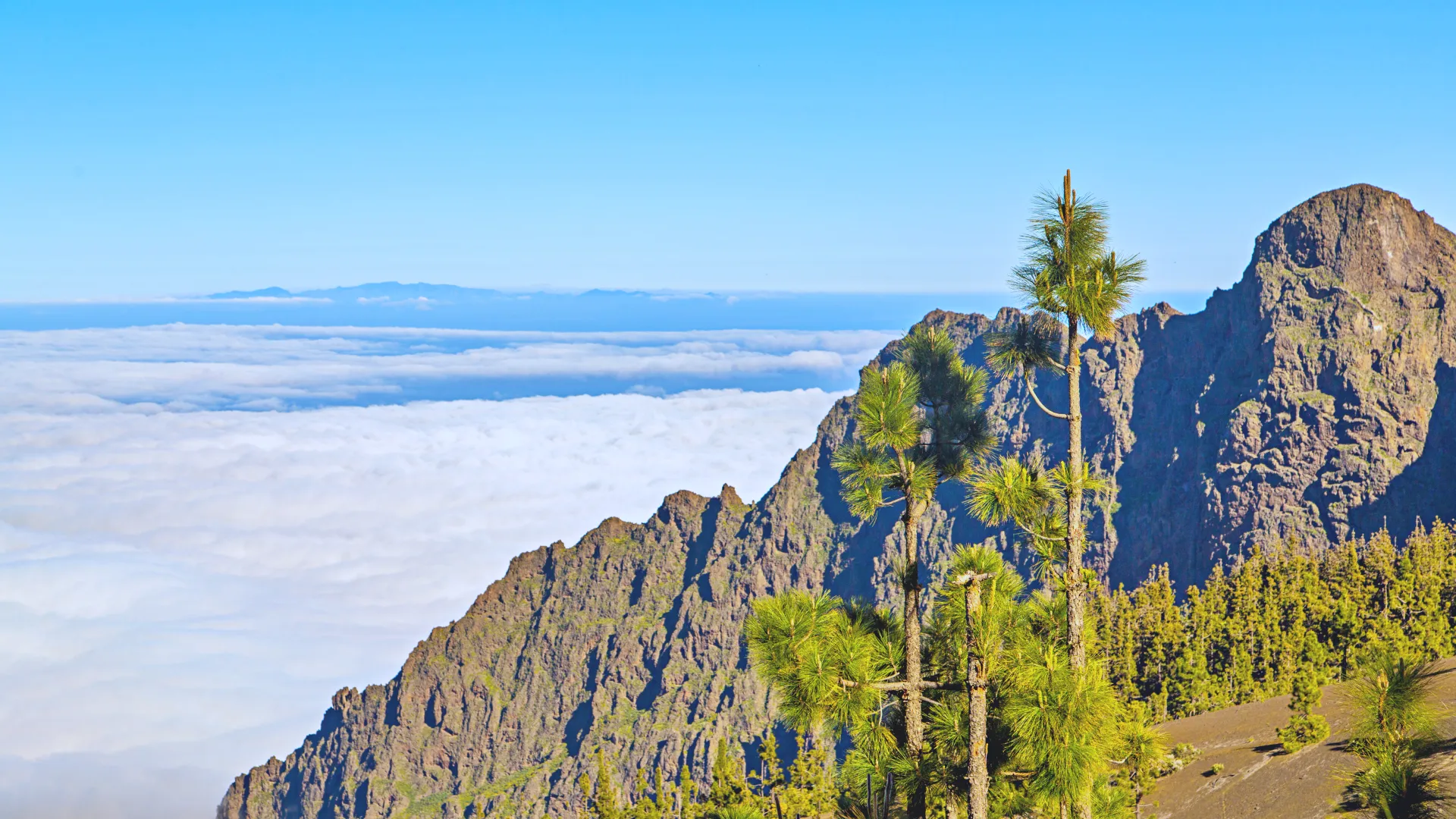 View from Mount Kilimanjaro