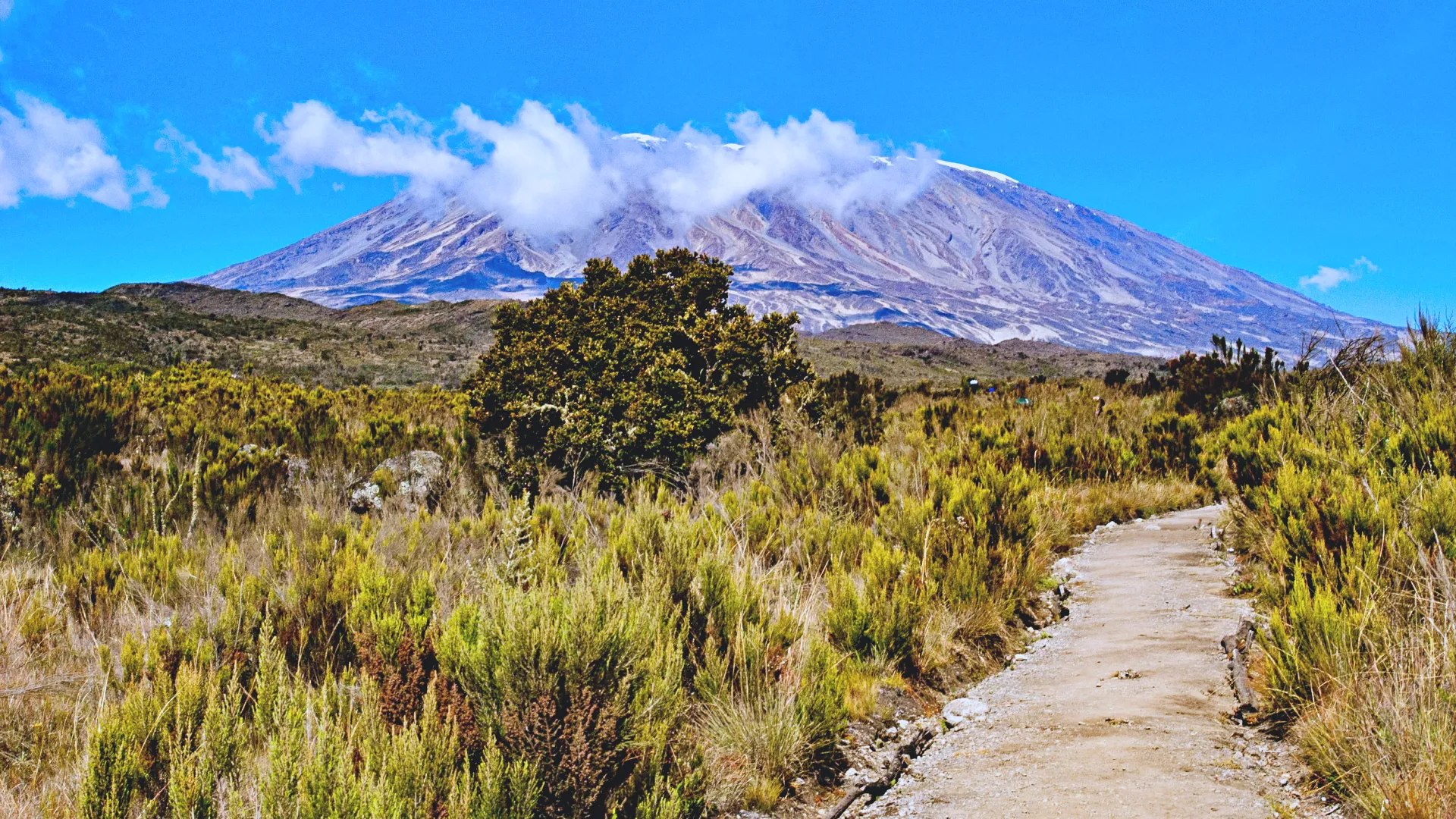 Mountain Kilimanjaro