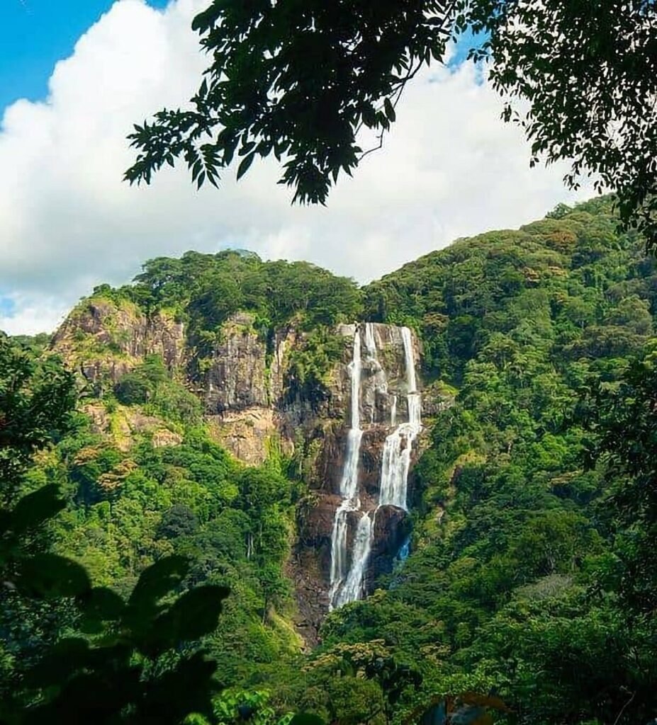 Udzungwa Mountains Sanje waterfalls