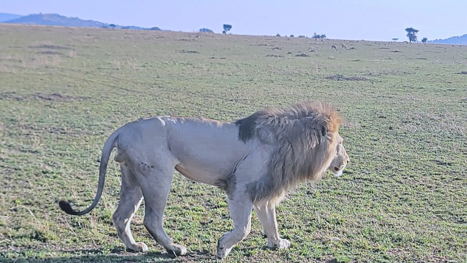 Day 1 – Arusha to Serengeti National Park